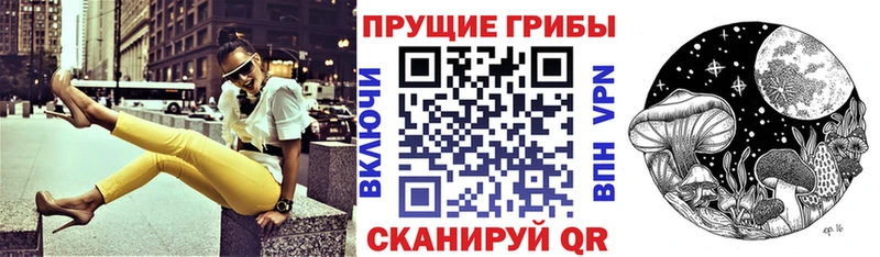Галлюциногенные грибы Psilocybine cubensis Макушино